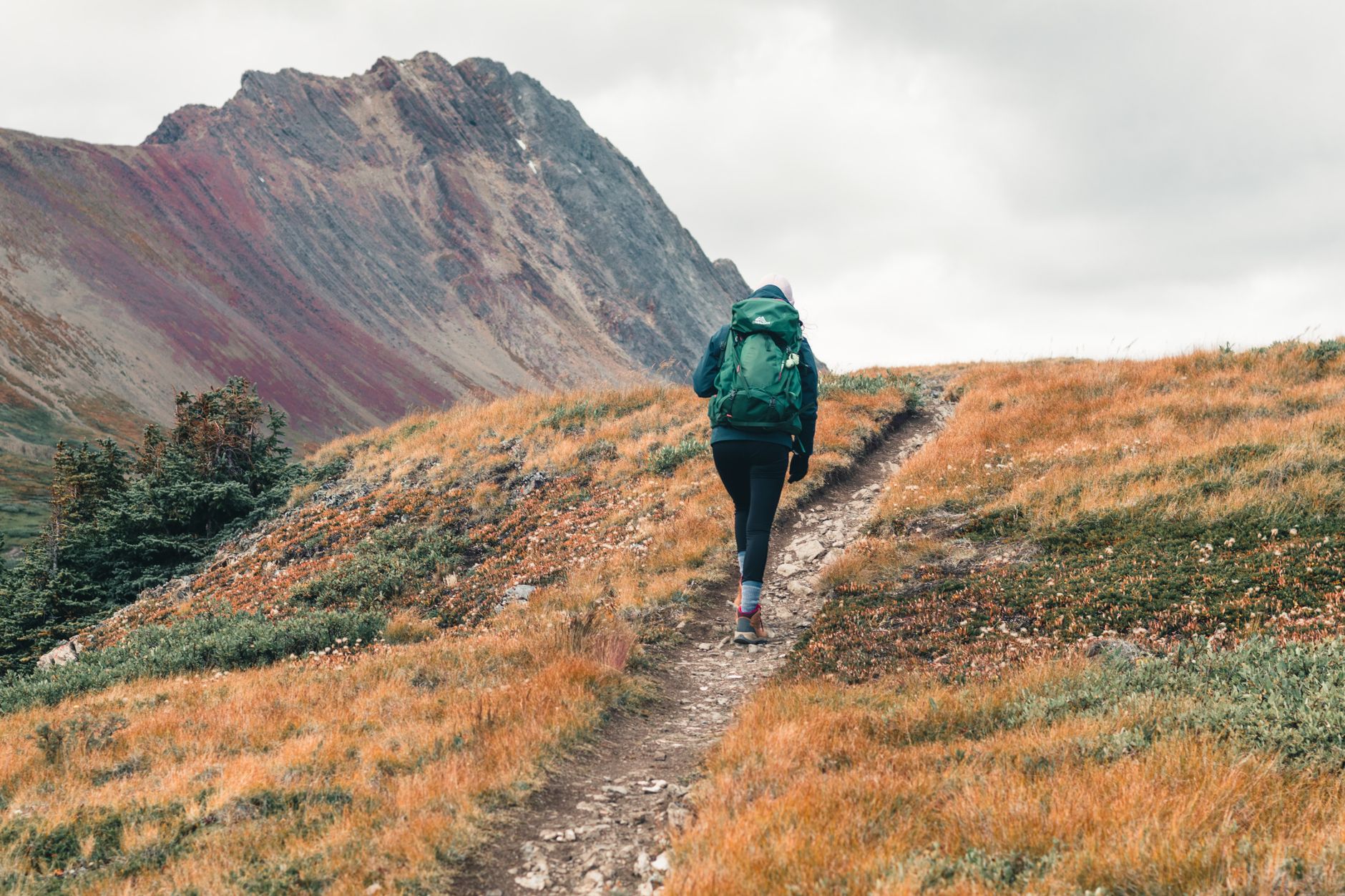 Osprey Daylite Plus 20L — Backpacks review photo