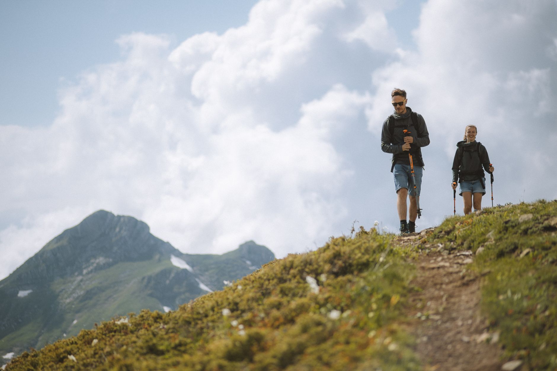 TrailBuddy Aluminum Trekking Poles &mdash; Trekking Poles review photo
