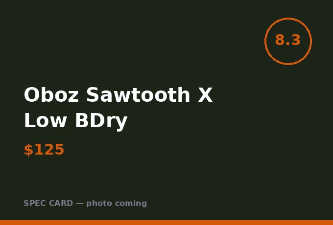 Oboz Sawtooth X Low BDry
