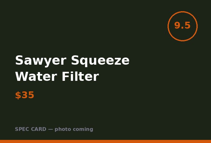 Sawyer Squeeze Water Filter